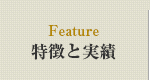 特徴と実績