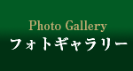 フォトギャラリー