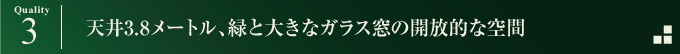 天井3.8メートル、緑と大きなガラス窓。拡がる感じの開放的な空間